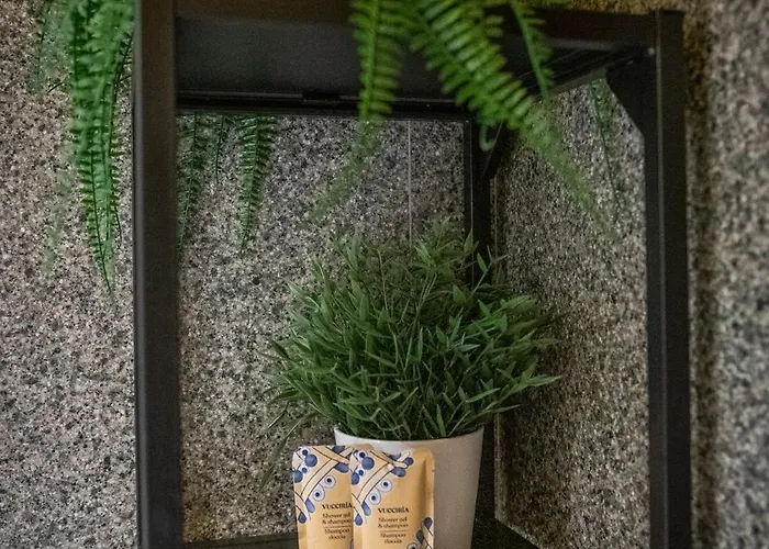 Loft Centro Storico